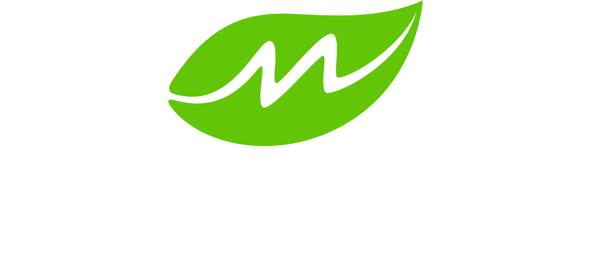 Logo de MovNat® Spain