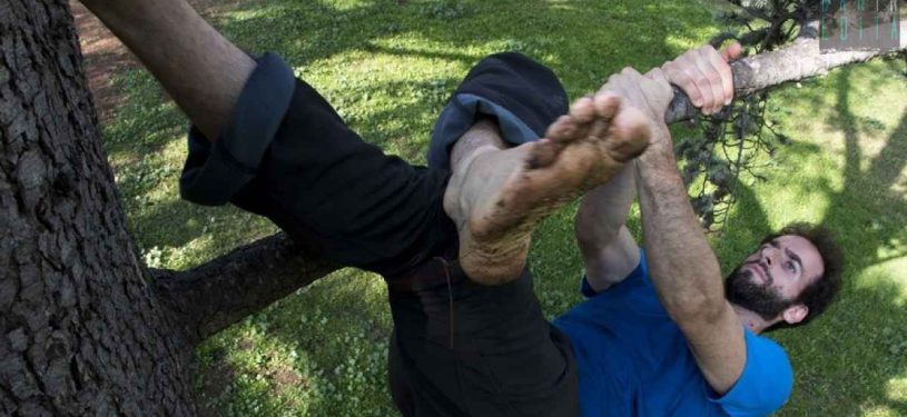 59f2ea532ca15-3178257889